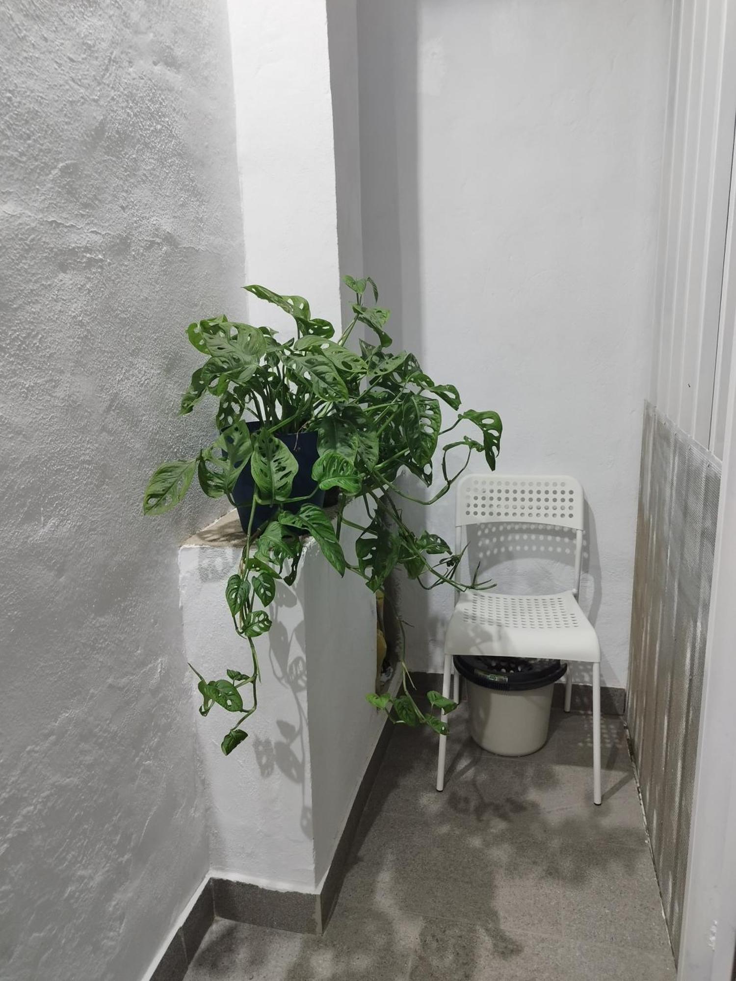 Ferienwohnung Casa De Maria Luisa Arona  Exterior foto